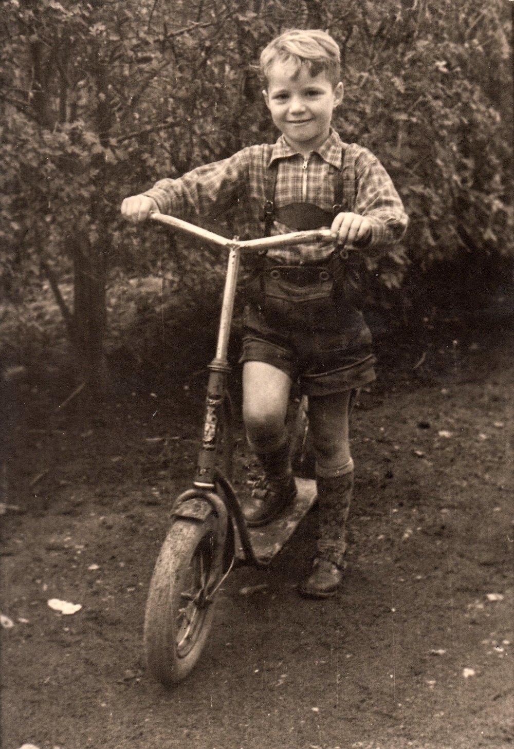 Zum weißen Rössel;