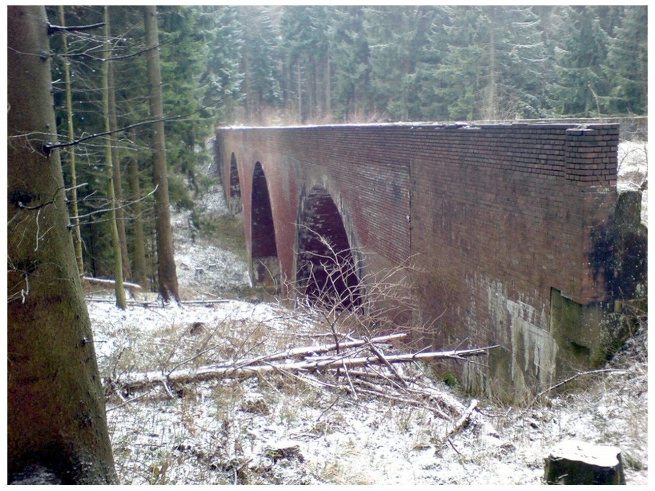 Kinder der Herz Jesu Schule Paderborn