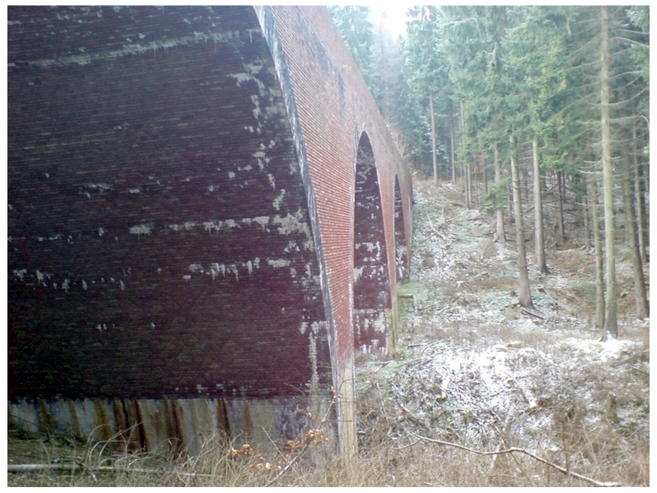 Kinder der Herz Jesu Schule Paderborn