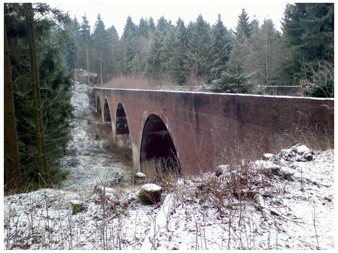 Kinder der Herz Jesu Schule Paderborn