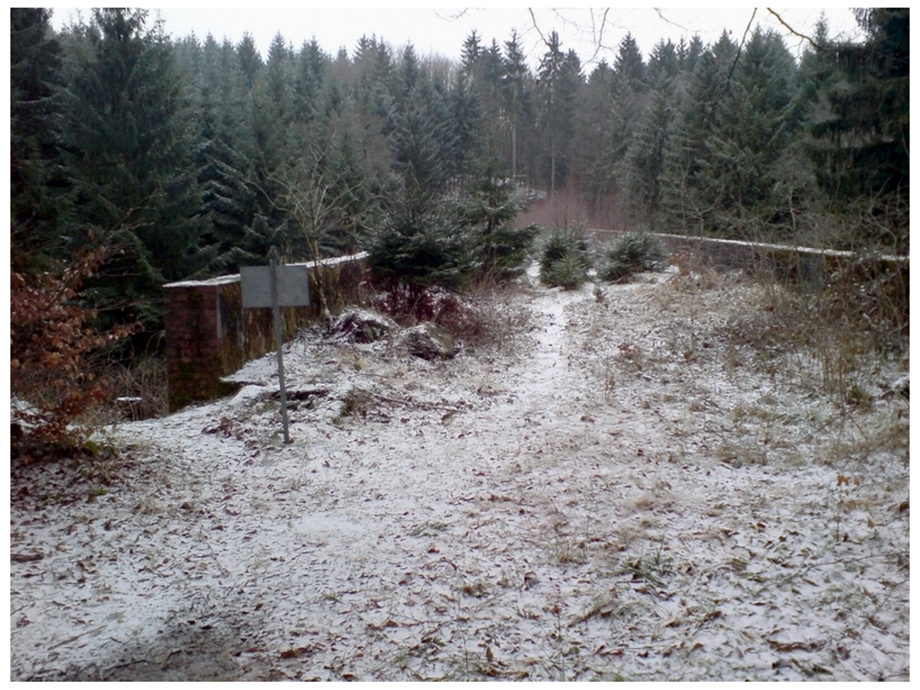 Kinder der Herz Jesu Schule Paderborn