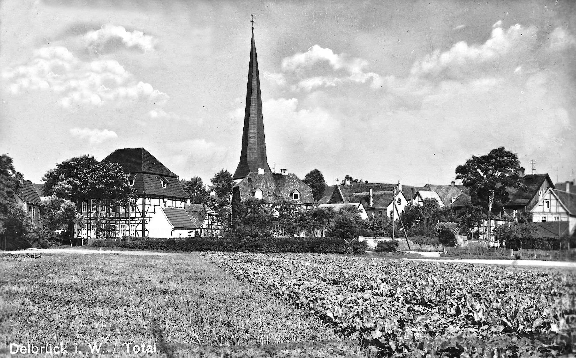 Kinder der Herz Jesu Schule Paderborn Dietmar Kösters