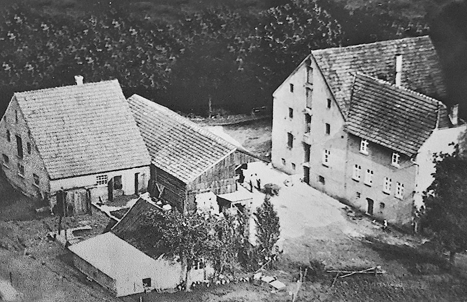 Kinder der Herz Jesu Schule Paderborn Dietmar Kösters