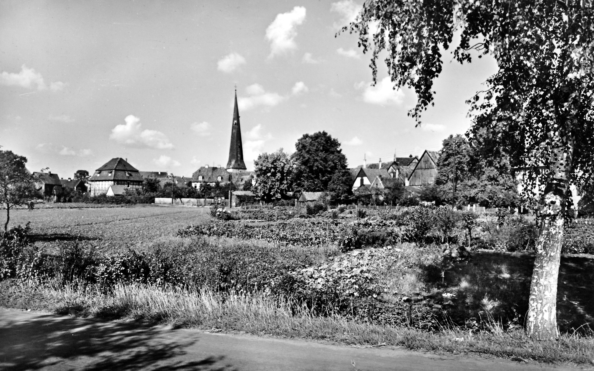 Kinder der Herz Jesu Schule Paderborn Dietmar Kösters