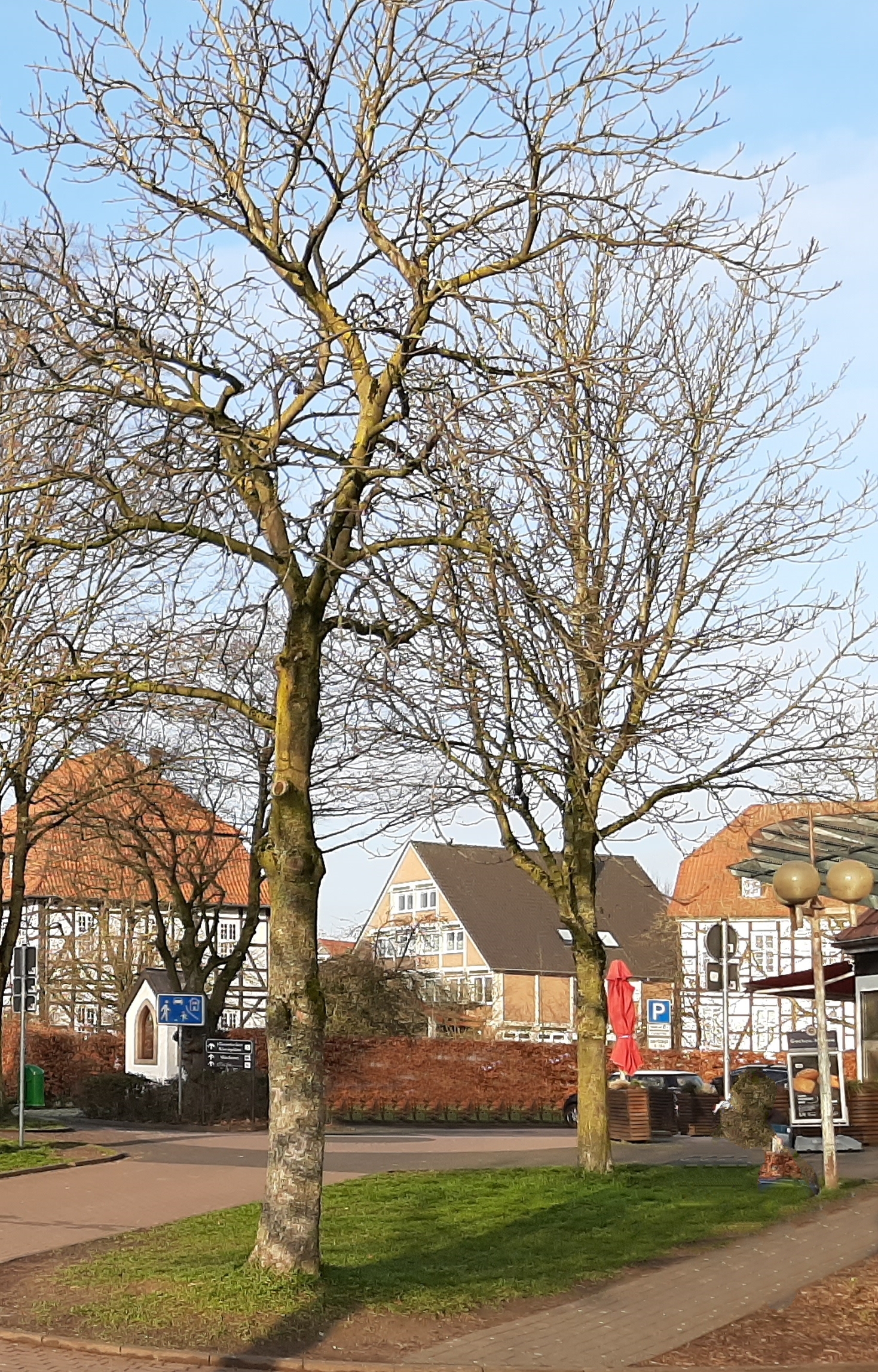 Kinder der Herz Jesu Schule Paderborn Dietmar Kösters