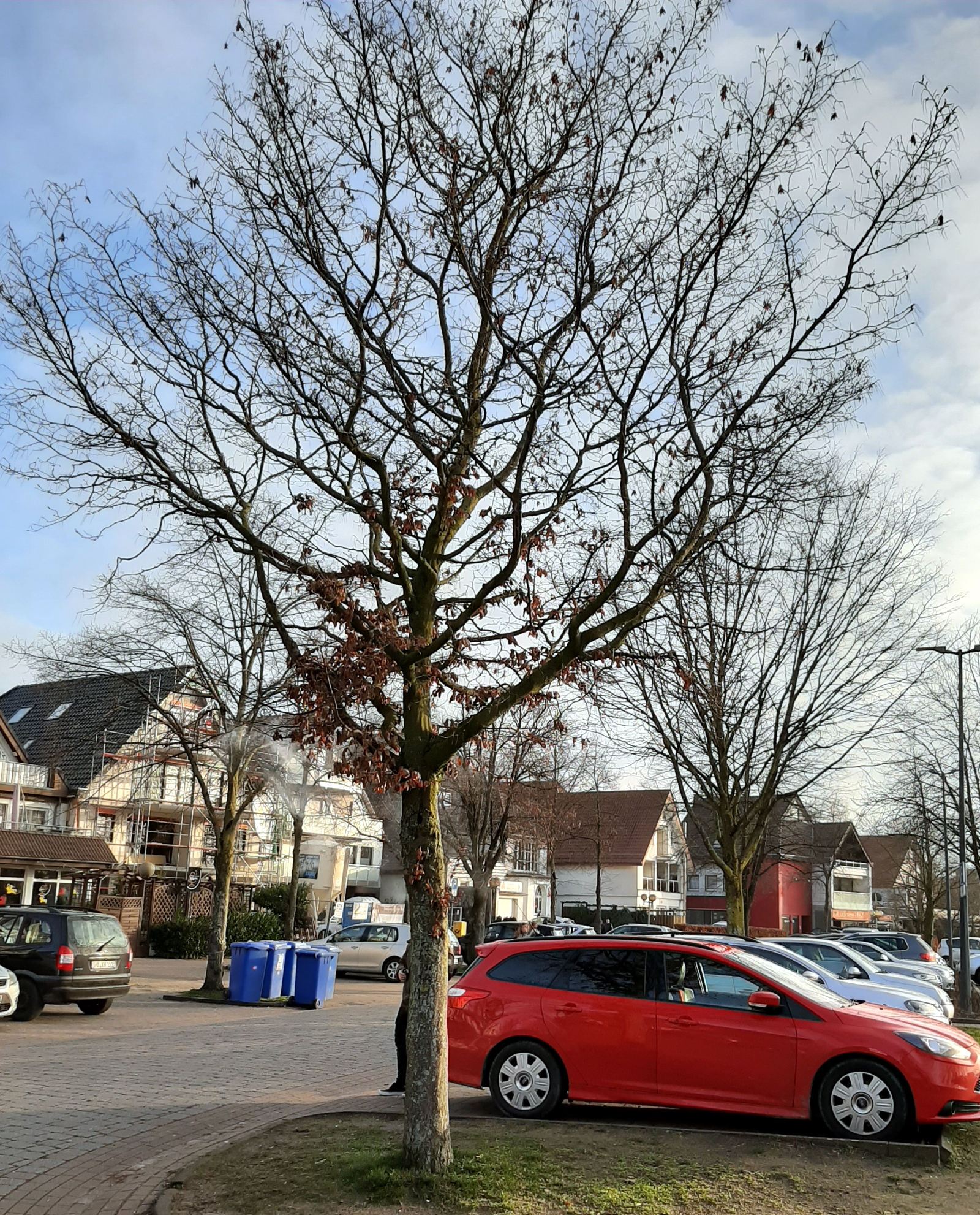 Kinder der Herz Jesu Schule Paderborn Dietmar Kösters