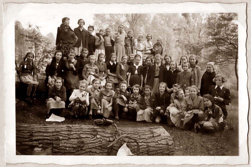 Zum weißen Rössel;