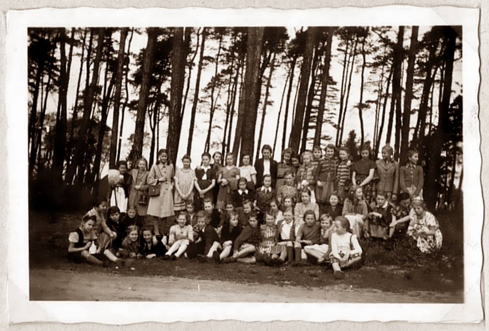 Zum weißen Rössel;