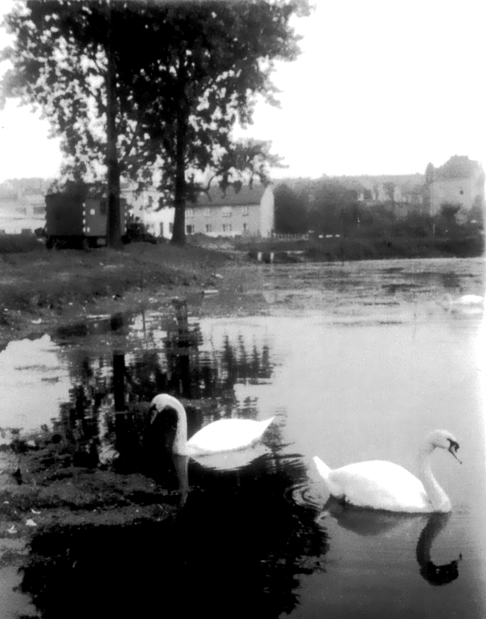 Zum weißen Rössel;