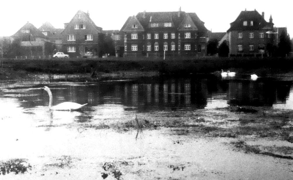 Zum weißen Rössel;