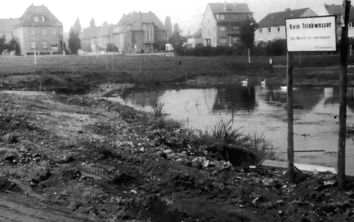 Zum weißen Rössel;