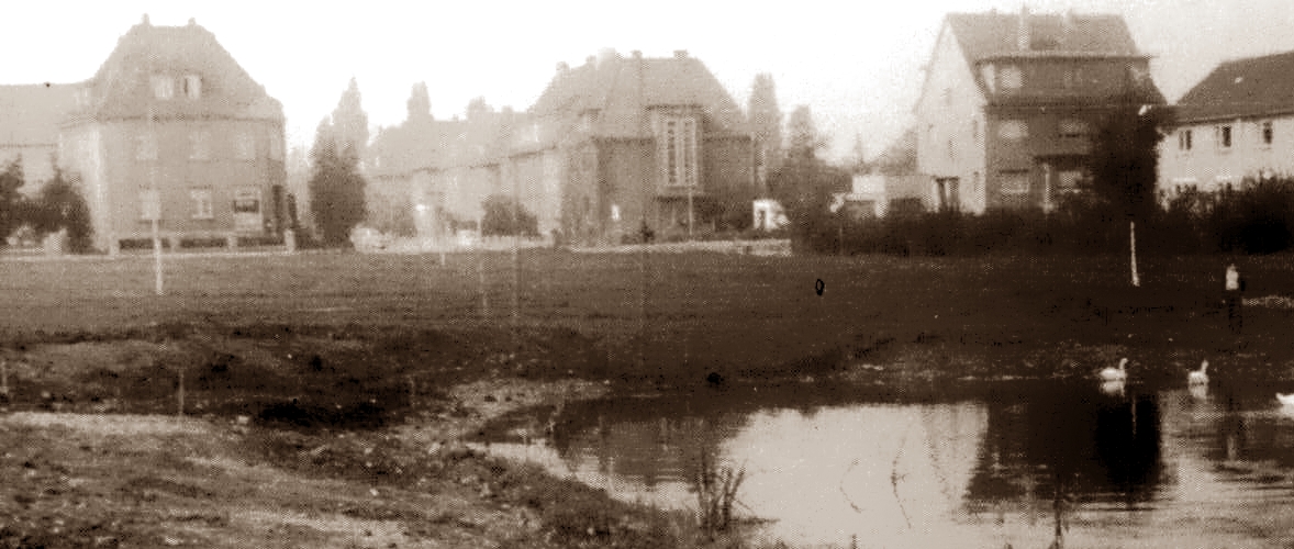 Zum weißen Rössel;