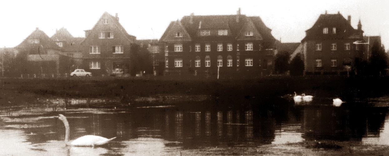 Zum weißen Rössel;