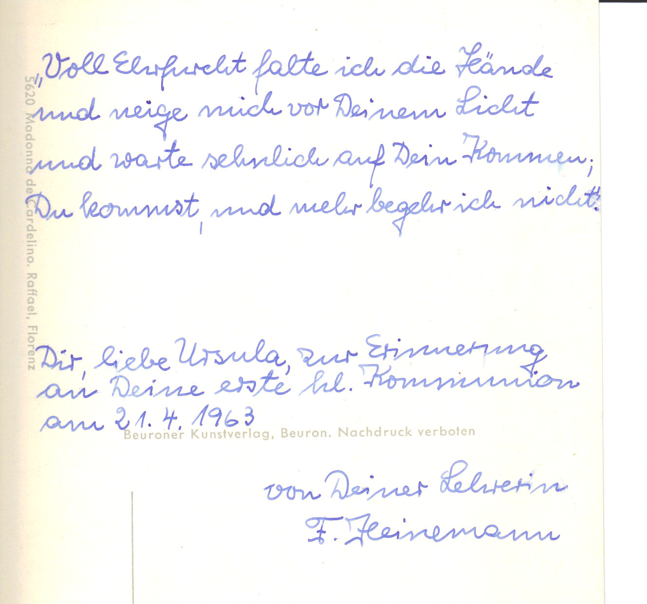 Zum weißen Rössel;